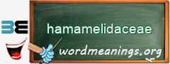 WordMeaning blackboard for hamamelidaceae